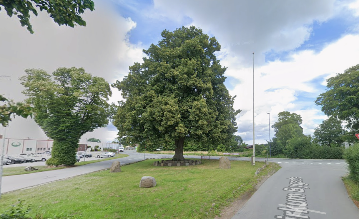 tree